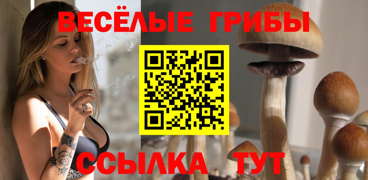 продажа наркотиков  Псилоцибиновые грибы MAGIC MUSHROOMS  Вход с VPN  Ленинск-Кузнецкий 